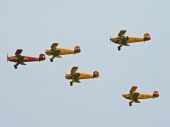 Bücker Squadron
