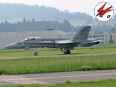 Hornet F/A-18 J-5017 Sonderbemalung Staffel 17