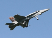 Hornet F/A-18C J-5011