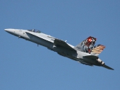 Hornet F/A-18C J-5011