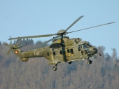 Eurocopter AS332M1 Super Puma T-317