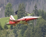 Patrouille Suisse Tiger F-5E