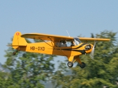 Piper L4 HB-OXD 