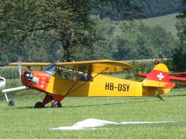 Piper Cub J3C HB-OSY 